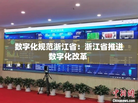 数字化规范浙江省:浙江省推进数字化改革