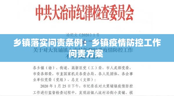 乡镇落实问责条例:乡镇疫情防控工作问责方案