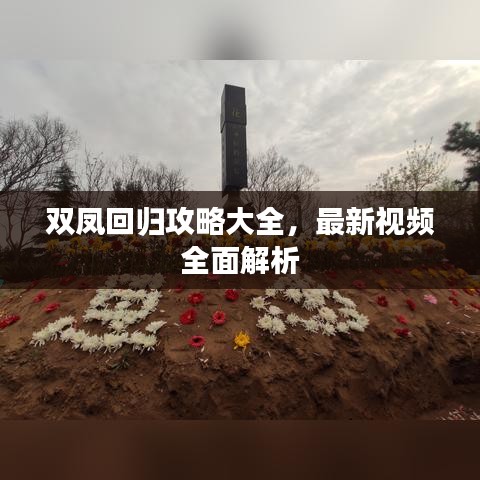 双凤回归攻略大全,最新视频全面解析