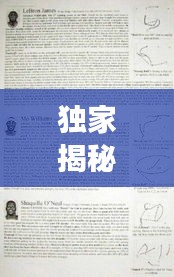 独家揭秘,深度解读与全面剖析