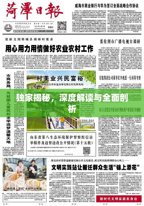 独家揭秘,深度解读与全面剖析
