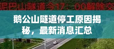 鹅公山隧道停工原因揭秘,最新消息汇总
