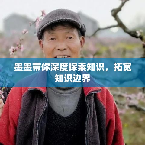 墨墨带你深度探索知识,拓宽知识边界