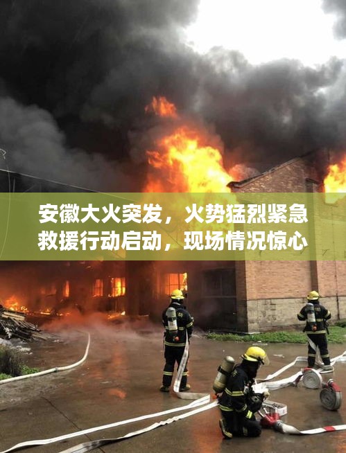 虫书鸟篆 第4页