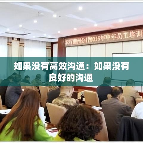 如果没有高效沟通:如果没有良好的沟通