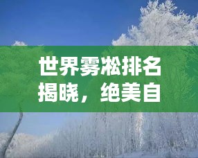 世界雾凇排名揭晓,绝美自然奇观尽收眼底