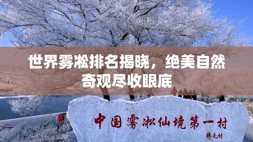 世界雾凇排名揭晓,绝美自然奇观尽收眼底