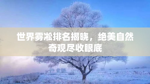 世界雾凇排名揭晓,绝美自然奇观尽收眼底