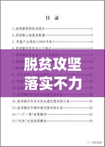 脱贫攻坚落实不力奖惩:脱贫攻坚绩效考核反馈问题整改报告