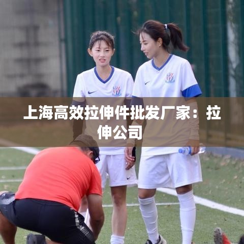 上海高效拉伸件批发厂家:拉伸公司