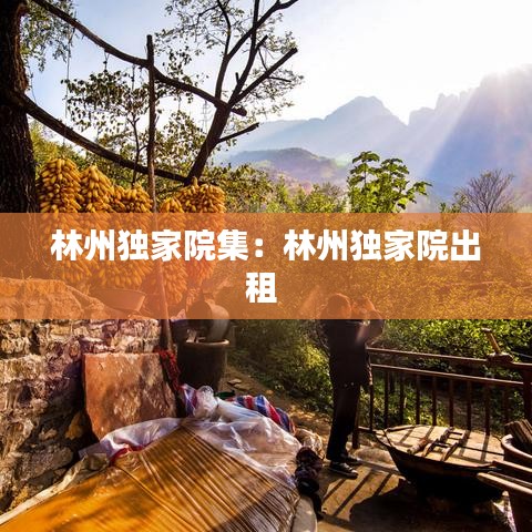 林州独家院集:林州独家院出租