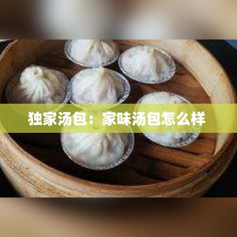 独家汤包:家味汤包怎么样