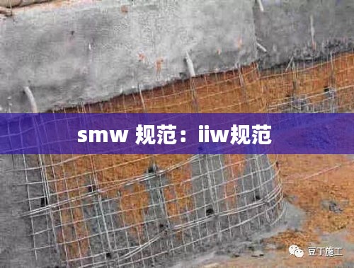 smw 规范:iiw规范