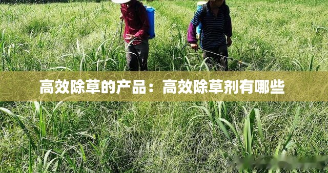 高效除草的产品:高效除草剂有哪些