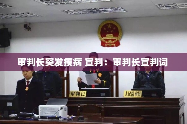 审判长突发疾病 宣判:审判长宣判词