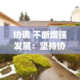 协调 不断增强发展:坚持协调发展,增强发展的整体性