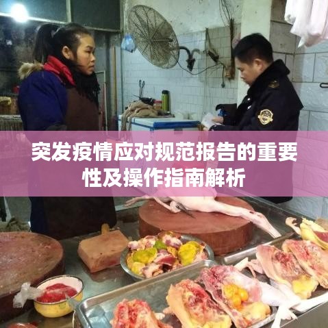 突发疫情应对规范报告的重要性及操作指南解析