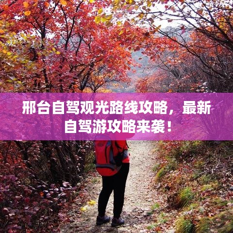 邢台自驾观光路线攻略,最新自驾游攻略来袭!