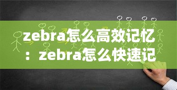 zebra怎么高效记忆:zebra怎么快速记忆