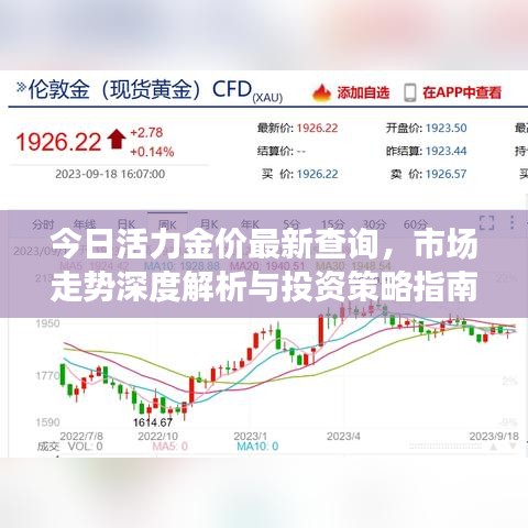今日活力金价最新查询,市场走势深度解析与投资策略指南