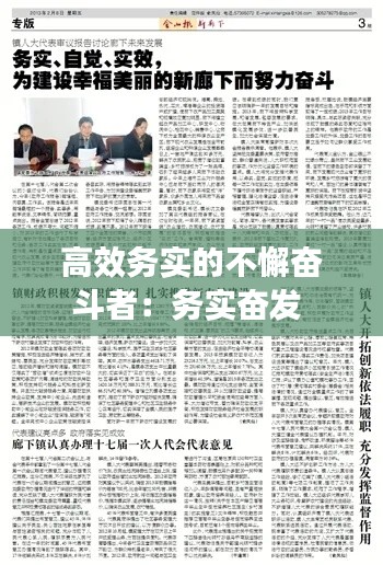 高效务实的不懈奋斗者:务实奋发