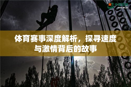 体育赛事深度解析,探寻速度与激情背后的故事