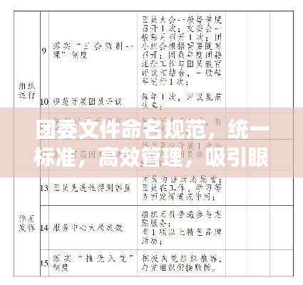 团委文件命名规范,统一标准,高效管理,吸引眼球的标题!