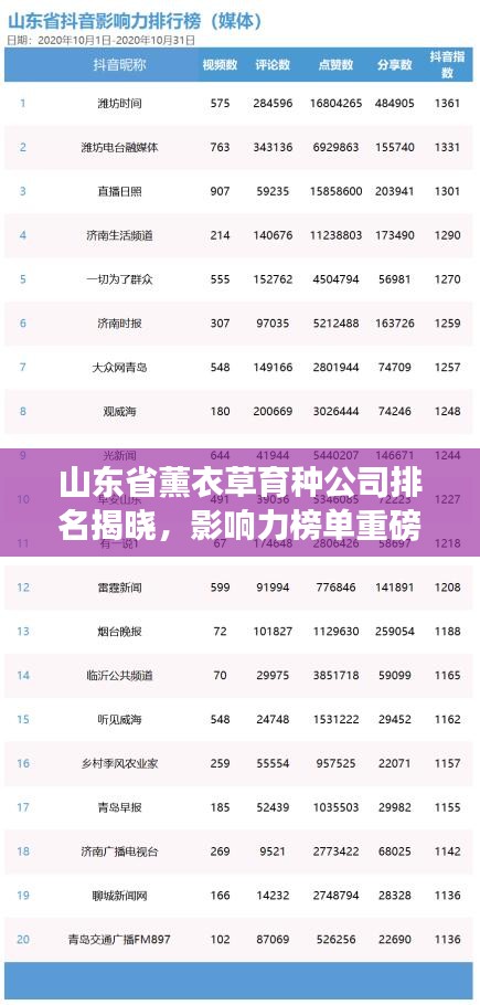 山东省薰衣草育种公司排名揭晓,影响力榜单重磅出炉!