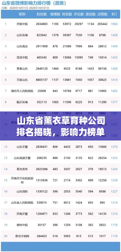 山东省薰衣草育种公司排名揭晓,影响力榜单重磅出炉!