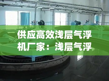 供应高效浅层气浮机厂家:浅层气浮机图纸