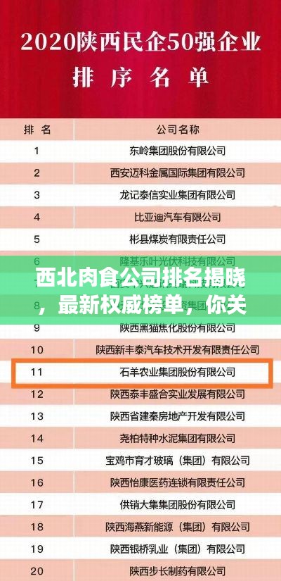 西北肉食公司排名揭晓,最新权威榜单,你关注的品牌上榜了吗?