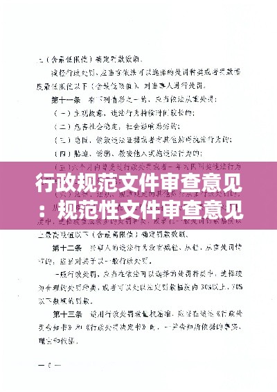 行政规范文件审查意见:规范性文件审查意见书