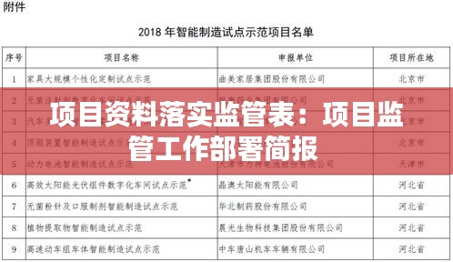 项目资料落实监管表:项目监管工作部署简报