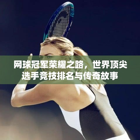 网球冠军荣耀之路,世界顶尖选手竞技排名与传奇故事