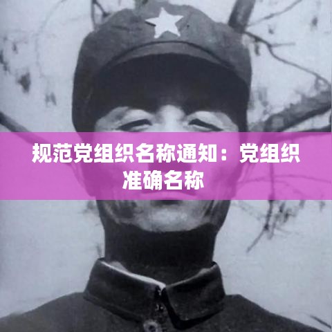 规范党组织名称通知:党组织准确名称