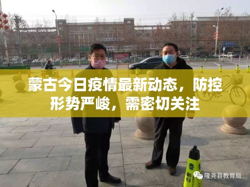 蒙古今日疫情最新动态,防控形势严峻,需密切关注