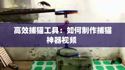 高效捕猫工具:如何制作捕猫神器视频