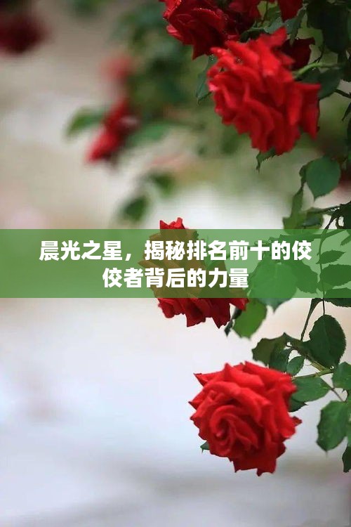 久别重逢 第3页