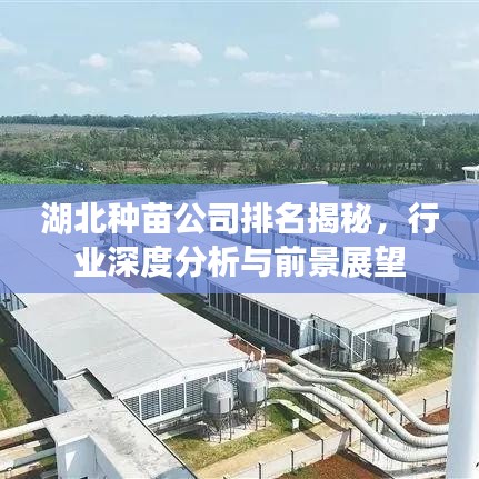 湖北种苗公司排名揭秘,行业深度分析与前景展望