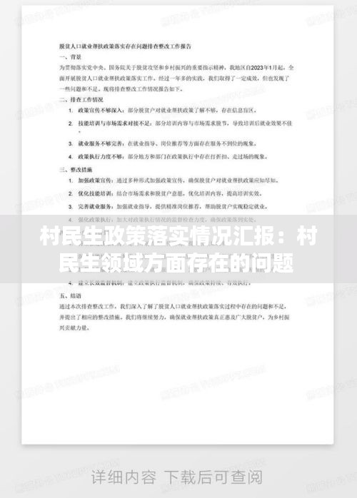 村民生政策落实情况汇报:村民生领域方面存在的问题