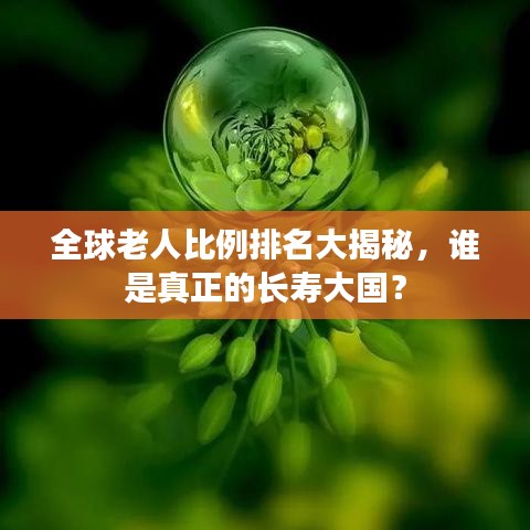 全球老人比例排名大揭秘,谁是真正的长寿大国?