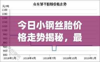 今日小钢丝胎价格走势揭秘,最新报价及市场分析