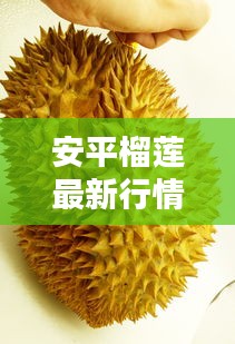 安平榴莲最新行情,价格走势、购买指南一网打尽!