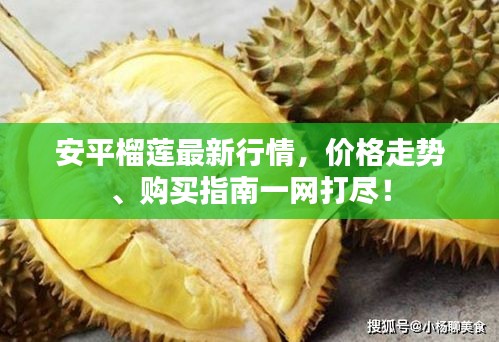 安平榴莲最新行情,价格走势、购买指南一网打尽!
