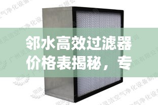 邻水高效过滤器价格表揭秘,专业探讨与优质选择