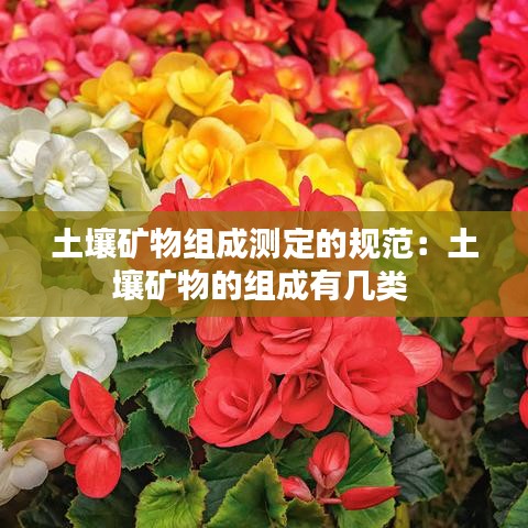 土壤矿物组成测定的规范:土壤矿物的组成有几类