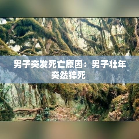 逆风飞扬 第3页