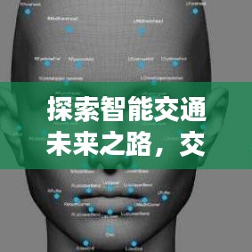 探索智能交通未来之路,交通网深度解析