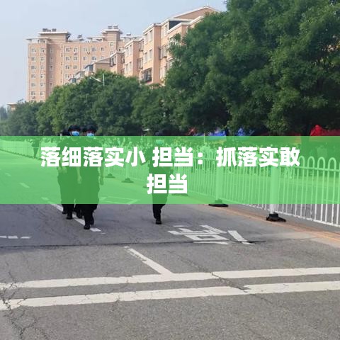 落细落实小 担当:抓落实敢担当