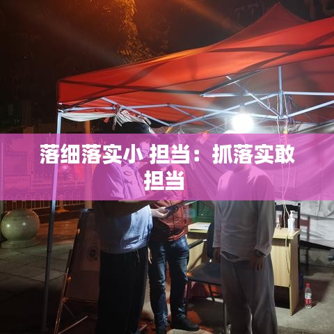 落细落实小 担当:抓落实敢担当